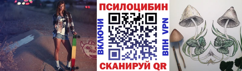 Псилоцибиновые грибы Cubensis  наркота  Ладушкин 